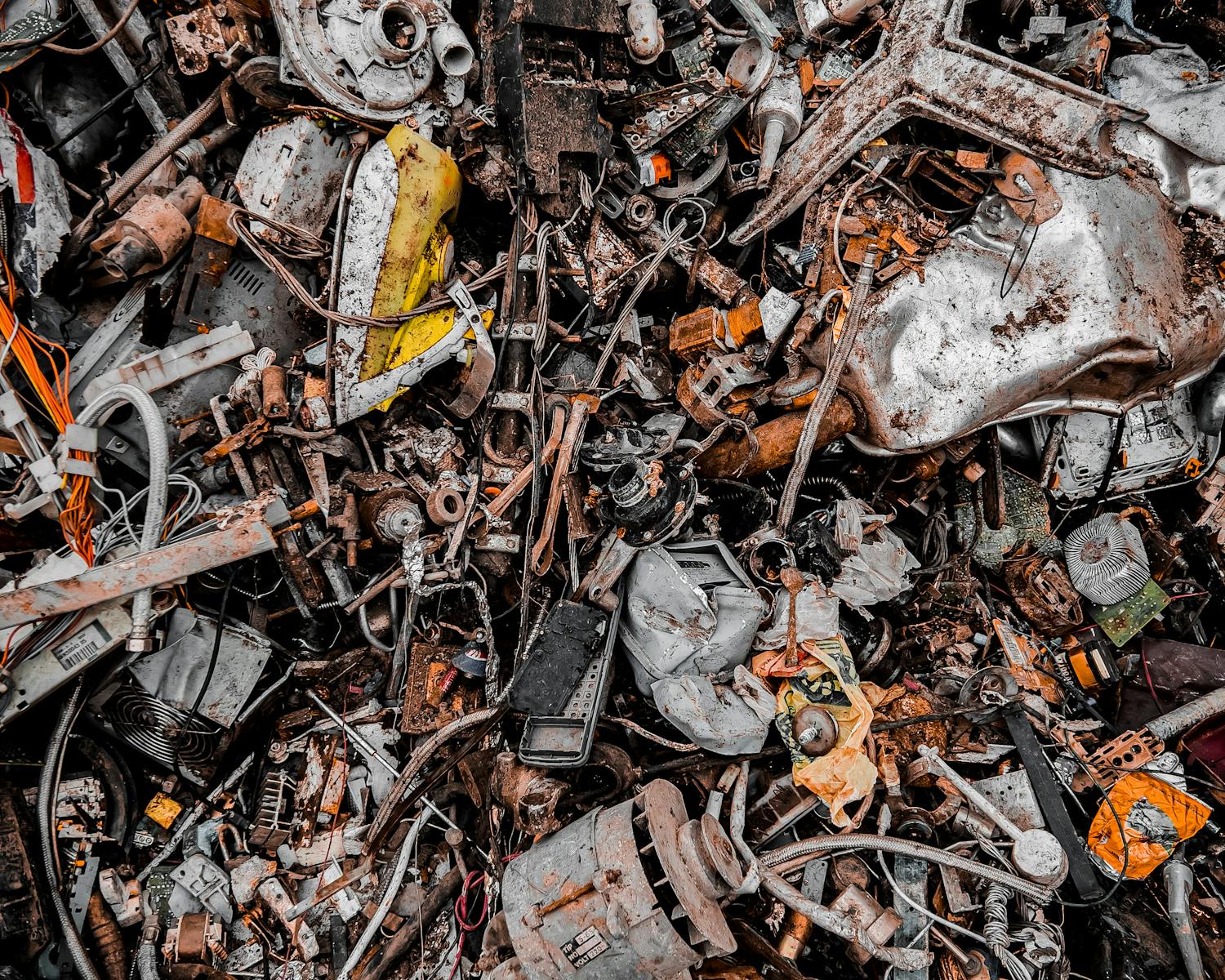 pexels-photo-10783800-1